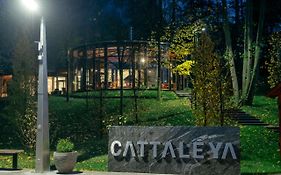 Resort Cattaleya
